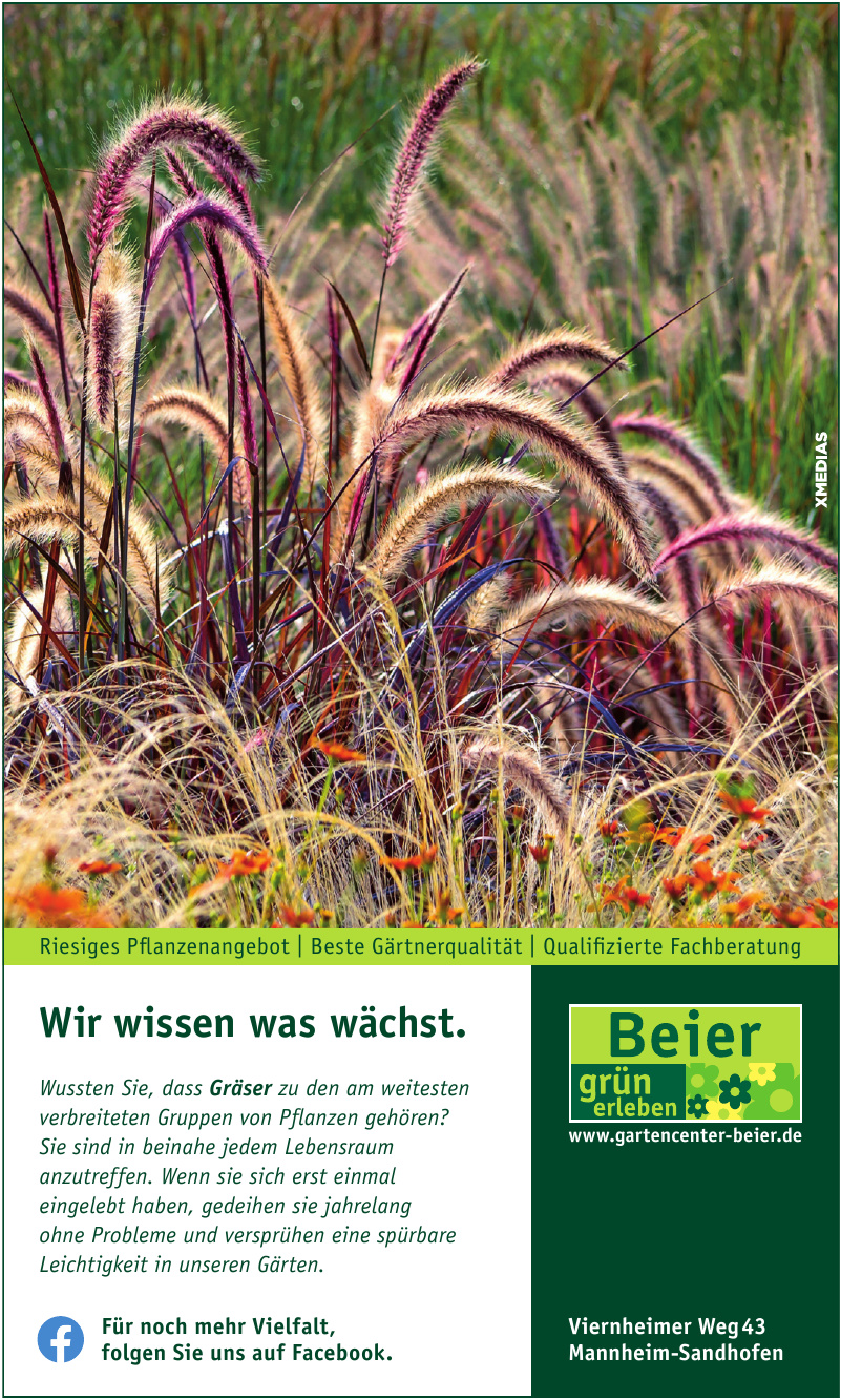 Beier GmbH & Co. KG Beier GmbH & Co. KG