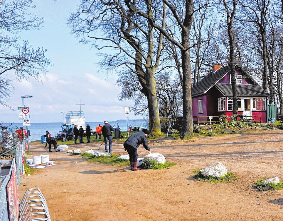 Plastikmüll, Glas, Kronkorken und eine Unmenge an Zigarettenkippen wurden auch in diesem Jahr wieder bei der Strandreinigung in Zierow eingesammelt. Plastikmüll, Glas, Kronkorken und eine Unmenge an Zigarettenkippen wurden auch in diesem Jahr wieder bei der Strandreinigung in Zierow eingesammelt.