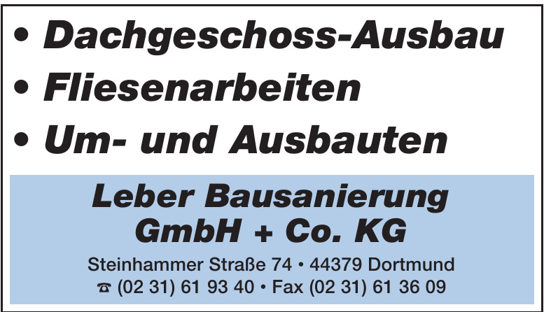 Leber Bausanierung GmbH + Co. KG