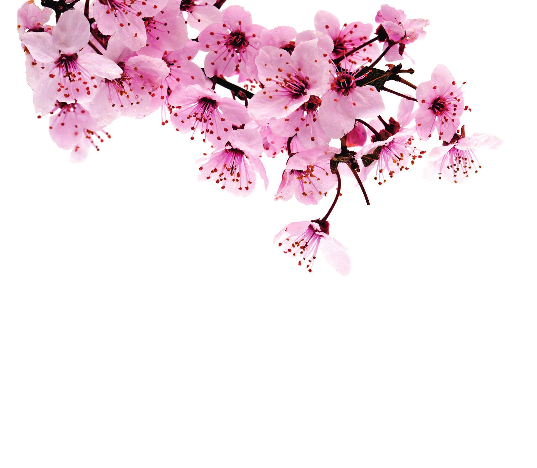 © thongsee/Fotolia © thongsee/Fotolia