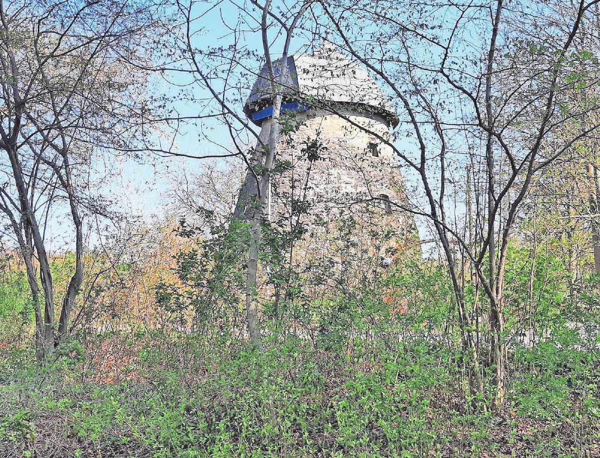 In Gehrden gibt es viel zu entdecken, unter anderem die alte Mühle auf dem Gehrdener Berg. Fotos (2): Archiv In Gehrden gibt es viel zu entdecken, unter anderem die alte Mühle auf dem Gehrdener Berg. Fotos (2): Archiv