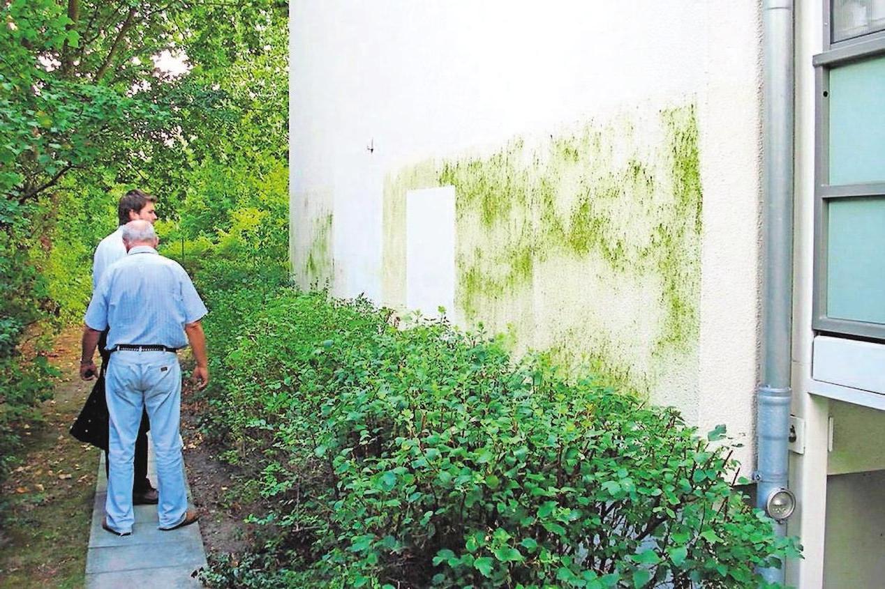 Grünfärbungen an der Fassade sehen unschön aus und beeinträchtigen den Wert einer Immobilie. Biozid-ausgerüstete Fassadenfarben bieten Schutz. Foto: djd/dli Grünfärbungen an der Fassade sehen unschön aus und beeinträchtigen den Wert einer Immobilie. Biozid-ausgerüstete Fassadenfarben bieten Schutz. Foto: djd/dli