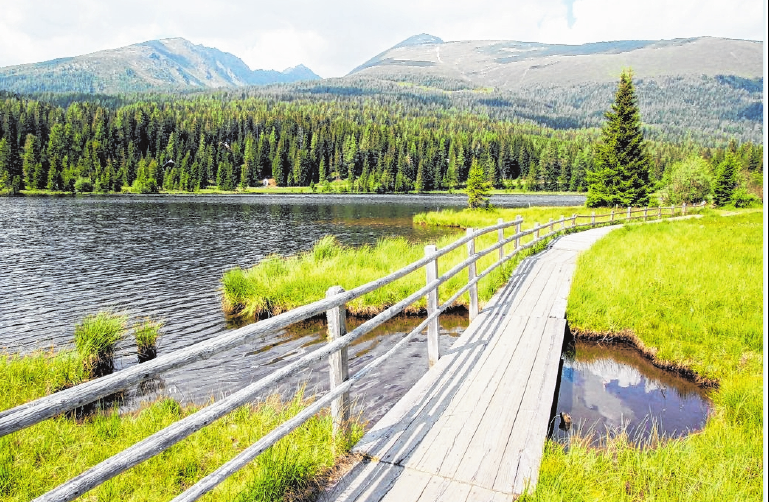 Auf Brettern können Urlauber den Moorlehrpfad rund um den Prebersee begehen. FOTO: BERND F. MEIER, TMN Auf Brettern können Urlauber den Moorlehrpfad rund um den Prebersee begehen. FOTO: BERND F. MEIER, TMN