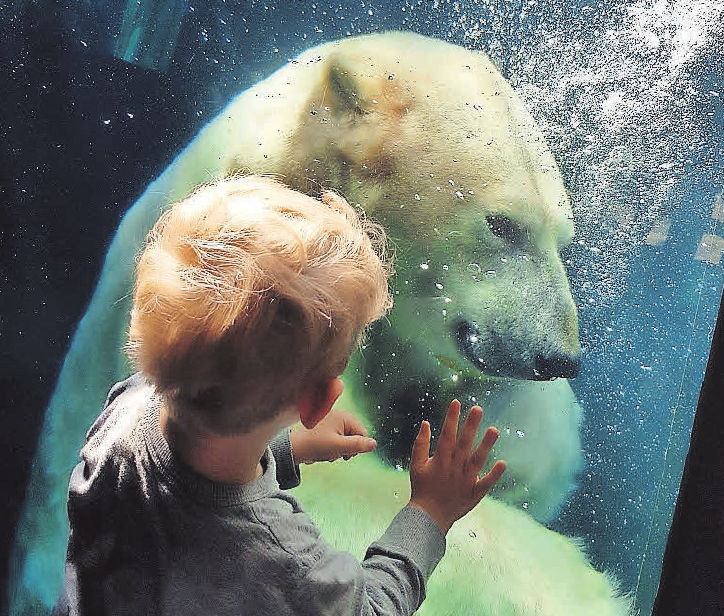 Tiere hautnah erleben im Erlebnis-Zoo Hannover. Tiere hautnah erleben im Erlebnis-Zoo Hannover.