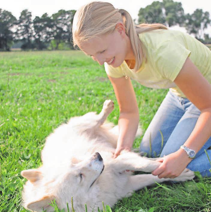 Silja Bremer kennt sich mit orthopädischen und neurologischen Problemen und Erkrankungen der Tiere aus und kann ihnen helfen. Silja Bremer kennt sich mit orthopädischen und neurologischen Problemen und Erkrankungen der Tiere aus und kann ihnen helfen.