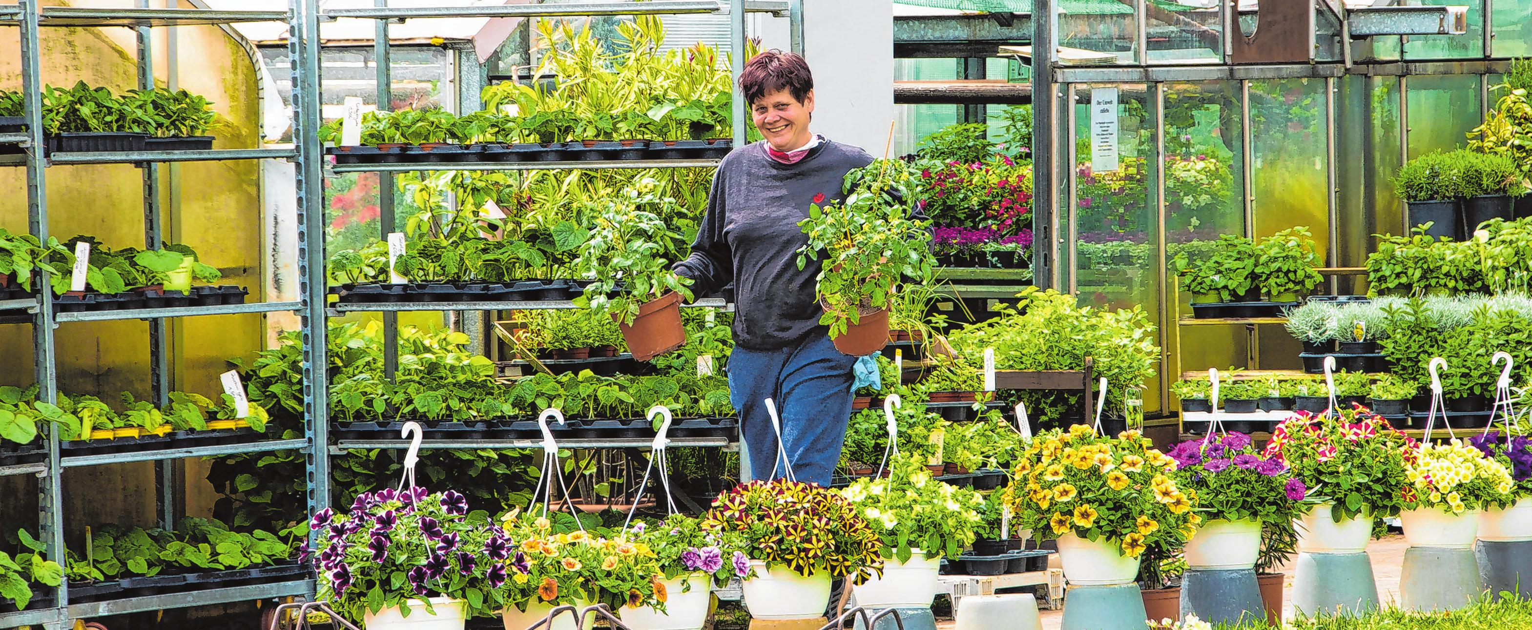 Gartnerei Beate Haeder Wendisch Rietz Blumenhof Feiert Jubilaum