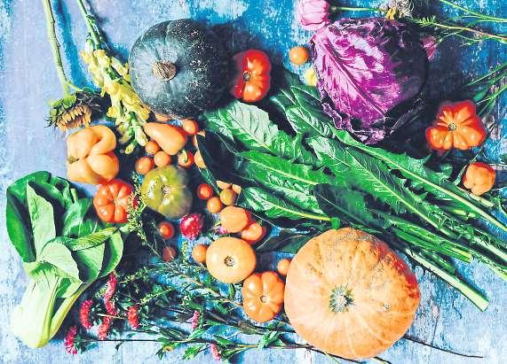 Auch im Herbst kann eine große, vielfältige Ernte eingebracht werden. Foto: Pexels Auch im Herbst kann eine große, vielfältige Ernte eingebracht werden. Foto: Pexels