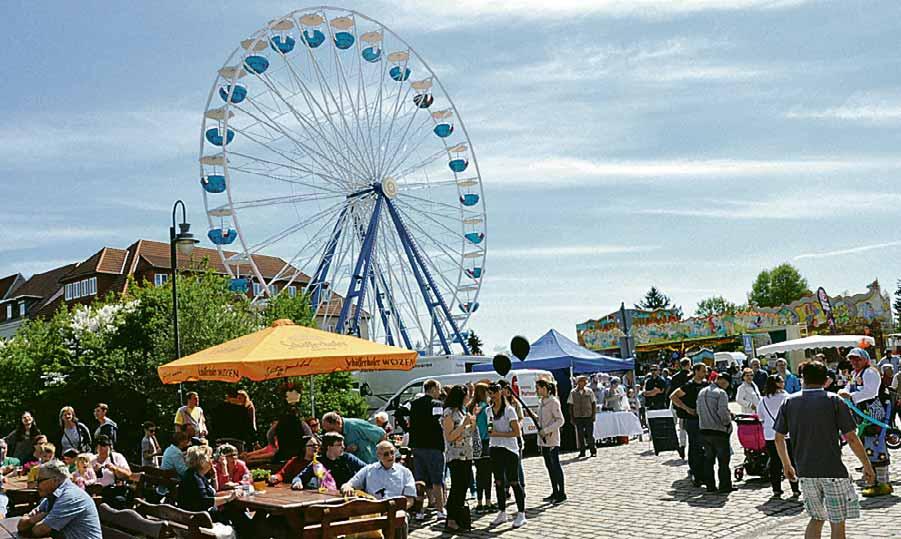 28. Zerbster Spargelfest 2019 mit der 24. Spargelschäl-WM am 04. & 05. Mai 2019 Image 1 28. Zerbster Spargelfest 2019 mit der 24. Spargelschäl-WM am 04. & 05. Mai 2019 Image 1
