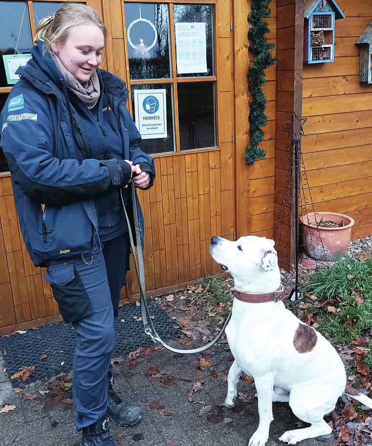 Philine Bestehorn versucht den Mischlingshund Smutje zu vermitteln, der seit Sommer im Tierheim lebt
