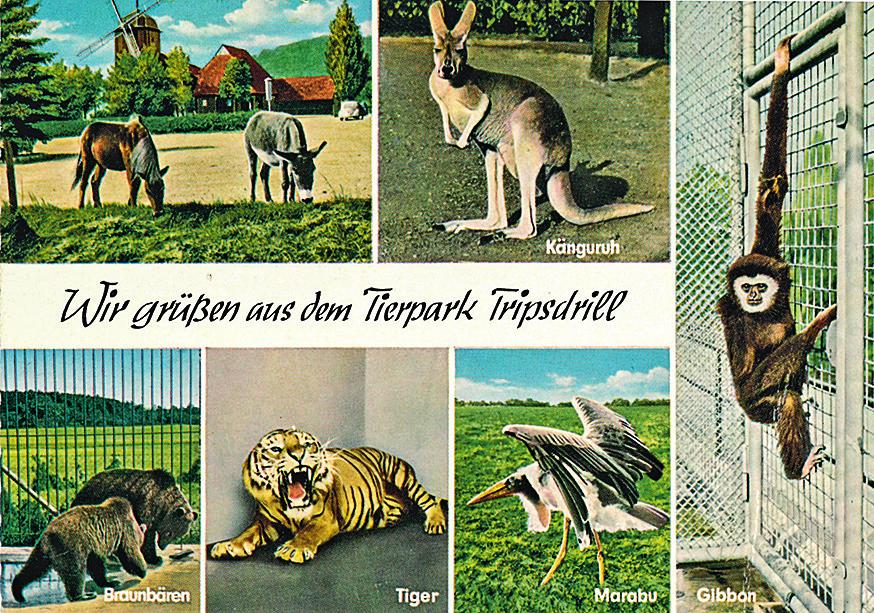 Streifzug durch die Vergangenheit Image 4 Streifzug durch die Vergangenheit Image 4