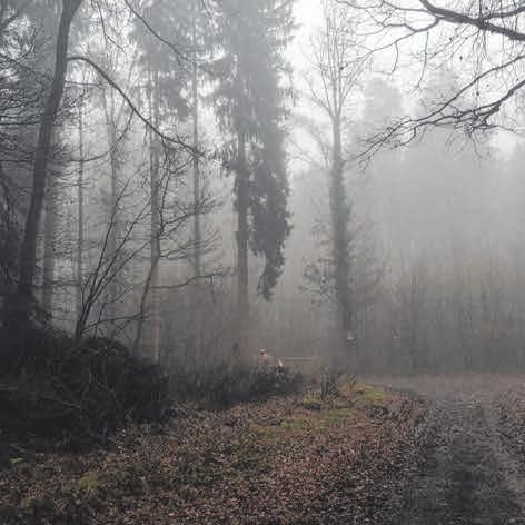 Im Einsatz für Wald und Holz Image 3 Im Einsatz für Wald und Holz Image 3