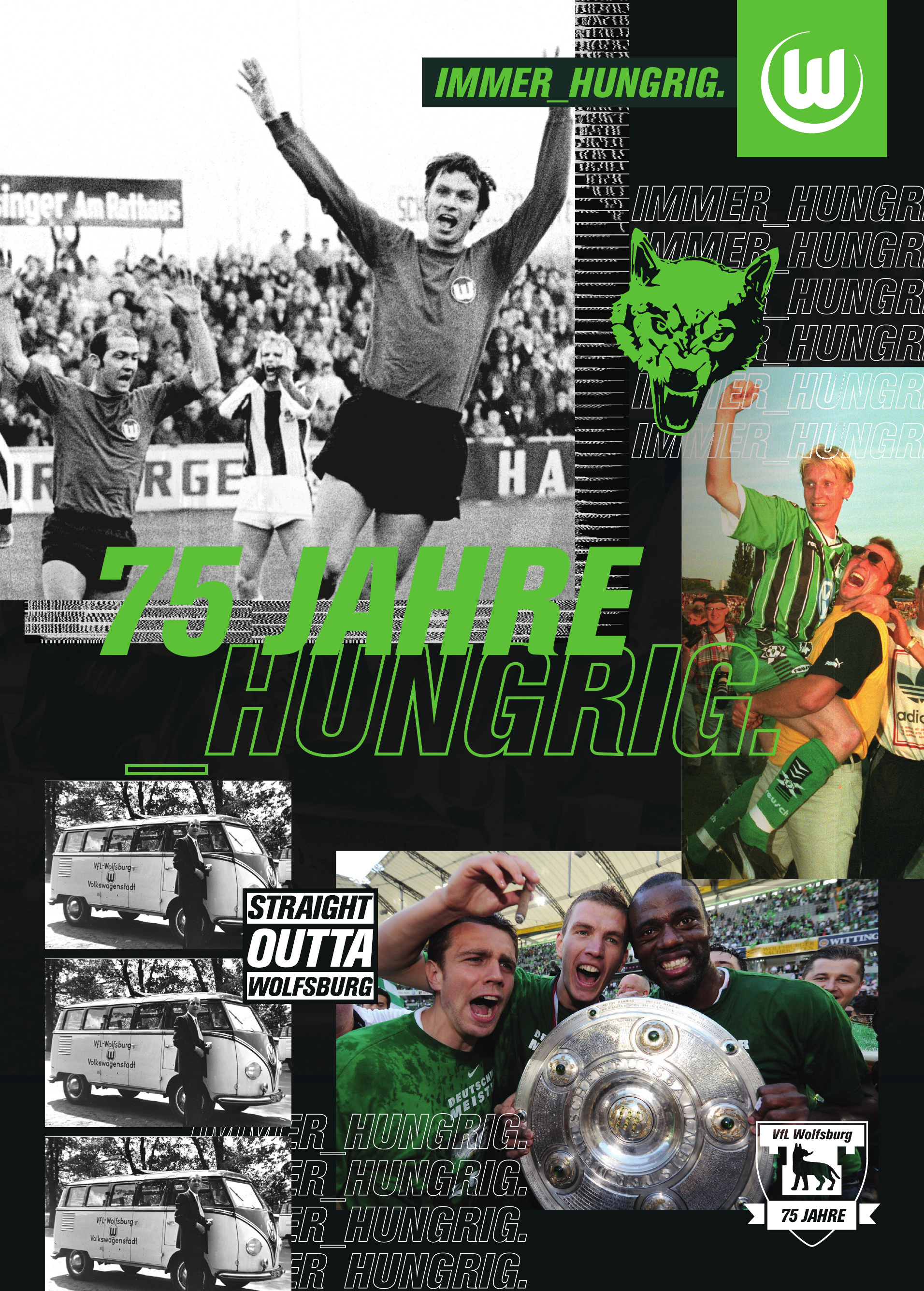 VfL Wolfsburg VfL Wolfsburg