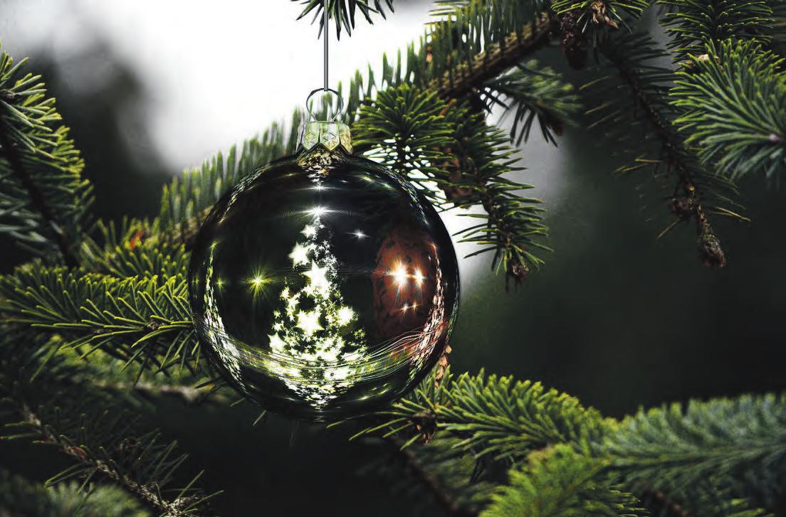 Auf etwa 500 Jahre schätzen Forscher die Geschichte der geschmückten Weihnachtsbäume in Deutschland Fotos: pixabay
