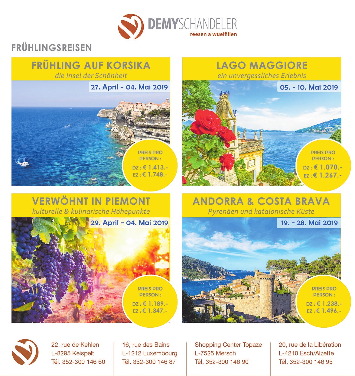 DEMY-SCHANDELER DEMY-SCHANDELER