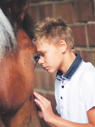 Reiten hilft Kindern und Jugendlichen, innere Unruhe in Entspannung umzuwandeln Image 2 Reiten hilft Kindern und Jugendlichen, innere Unruhe in Entspannung umzuwandeln Image 2