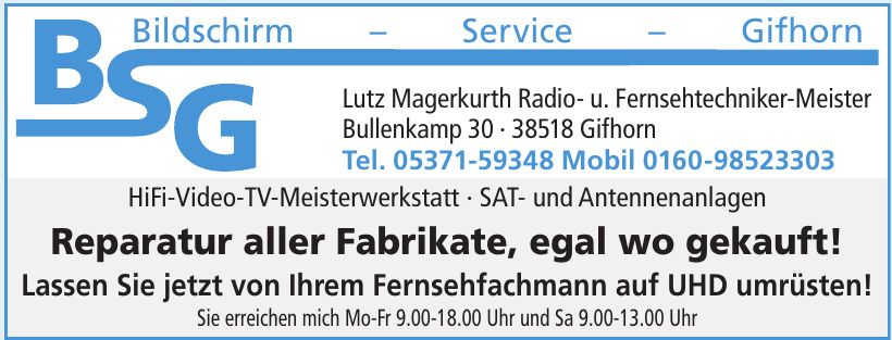 BSG Bildschirm - Service - Gifhorn