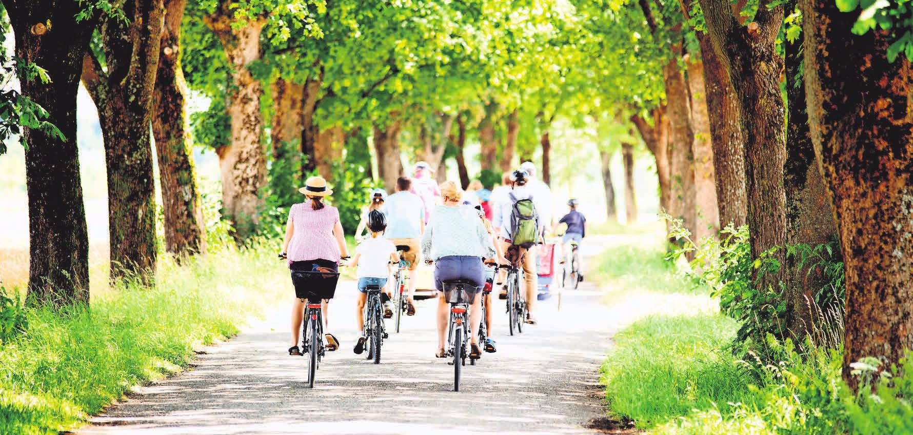 Radfahren in der Stecknitz-Region – ein entspanntes Vergnügen für die ganze Familie. Foto: Wellnhofer Designs - stock.adobe.com Radfahren in der Stecknitz-Region – ein entspanntes Vergnügen für die ganze Familie. Foto: Wellnhofer Designs - stock.adobe.com