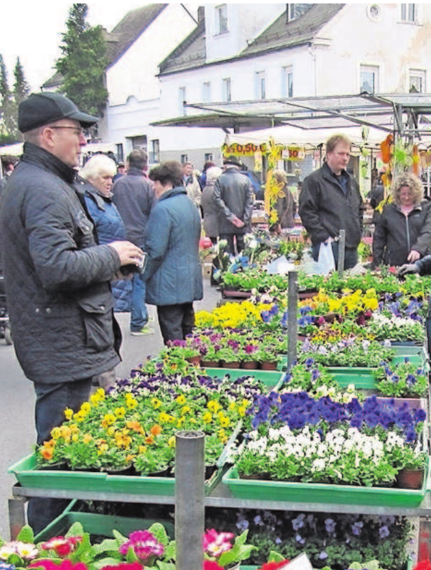 Die farbenprächtigen Frühjahrsblüher sind eine Wohltat nach dem Winter. Die farbenprächtigen Frühjahrsblüher sind eine Wohltat nach dem Winter.