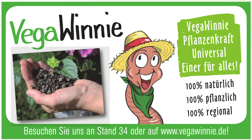 Vega Winnie Vega Winnie
