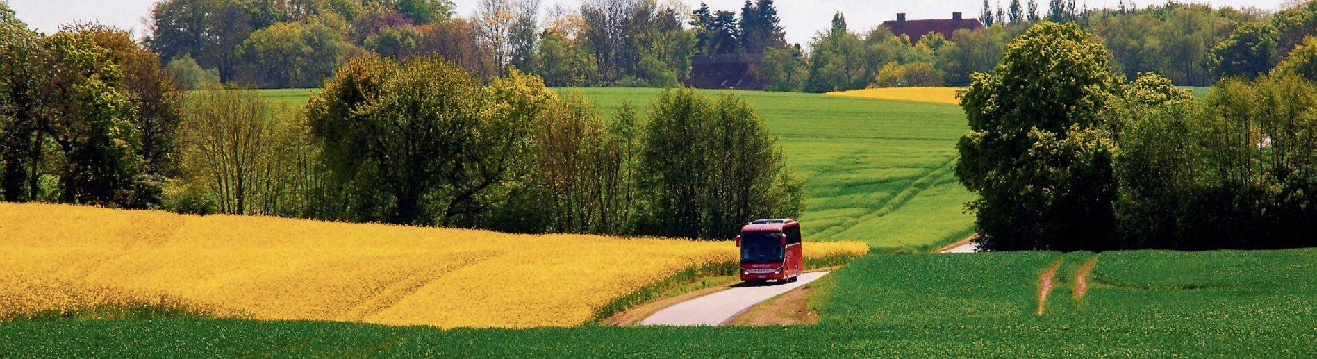 Bild: Reisering Hamburg RRH GmbH Bild: Reisering Hamburg RRH GmbH