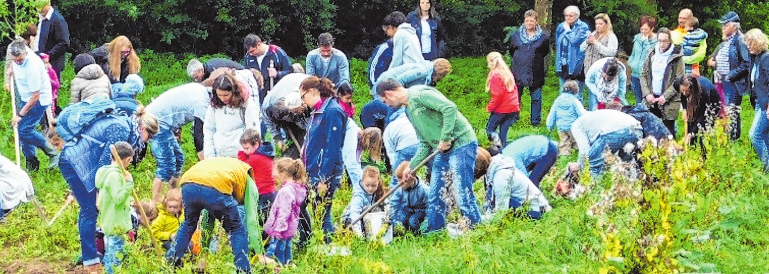 Immer wieder bot der OGV Aktionen an, bei denen auch die Kinder mitwirken konnten. Unser Bild zeigt die Gruppe beim Lesen der Kartoffeln im Jahr 2016. FOTO: JOSEF ZENKER Immer wieder bot der OGV Aktionen an, bei denen auch die Kinder mitwirken konnten. Unser Bild zeigt die Gruppe beim Lesen der Kartoffeln im Jahr 2016. FOTO: JOSEF ZENKER
