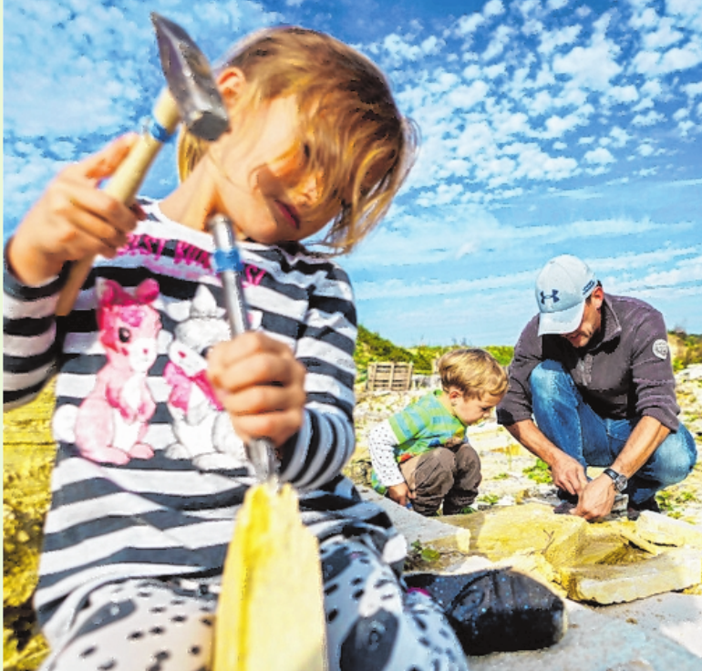 Schätze aus vergangenen Zeiten entdecken: In Fossiliensteinbrüchen lassen sich mit Hammer und Meißel versteinerte Urzeittiere und -pflanzen aus dem Gestein holen. FOTO: DIETMAR DENGER Schätze aus vergangenen Zeiten entdecken: In Fossiliensteinbrüchen lassen sich mit Hammer und Meißel versteinerte Urzeittiere und -pflanzen aus dem Gestein holen. FOTO: DIETMAR DENGER