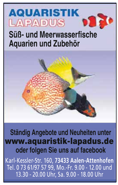 Aquaristik Lapadus Aquaristik Lapadus