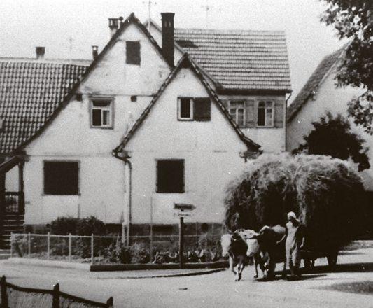 In der Wannweiler Ortsdurchfahrt an der Kreuzung nach Degerschlacht entstand in den 60er Jahren die Aufnahme dieses Ochsen-Gespanns. Repro: Haas
