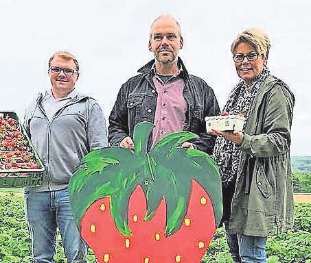 Gemeinsam mit dem Lieferanten Christoph Rokahr (Mitte) freuen sich Wennigsens Marktleiter Viktor Ortmann und seine Mitarbeiterin Ute Petrich über die süßen Früchte, die es in den EDEKA-Frischemärkten in Wennigsen, Ronnenberg und Gehrden gibt. Foto: Archiv Gemeinsam mit dem Lieferanten Christoph Rokahr (Mitte) freuen sich Wennigsens Marktleiter Viktor Ortmann und seine Mitarbeiterin Ute Petrich über die süßen Früchte, die es in den EDEKA-Frischemärkten in Wennigsen, Ronnenberg und Gehrden gibt. Foto: Archiv