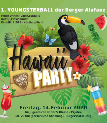 Hawaii Party Hawaii Party
