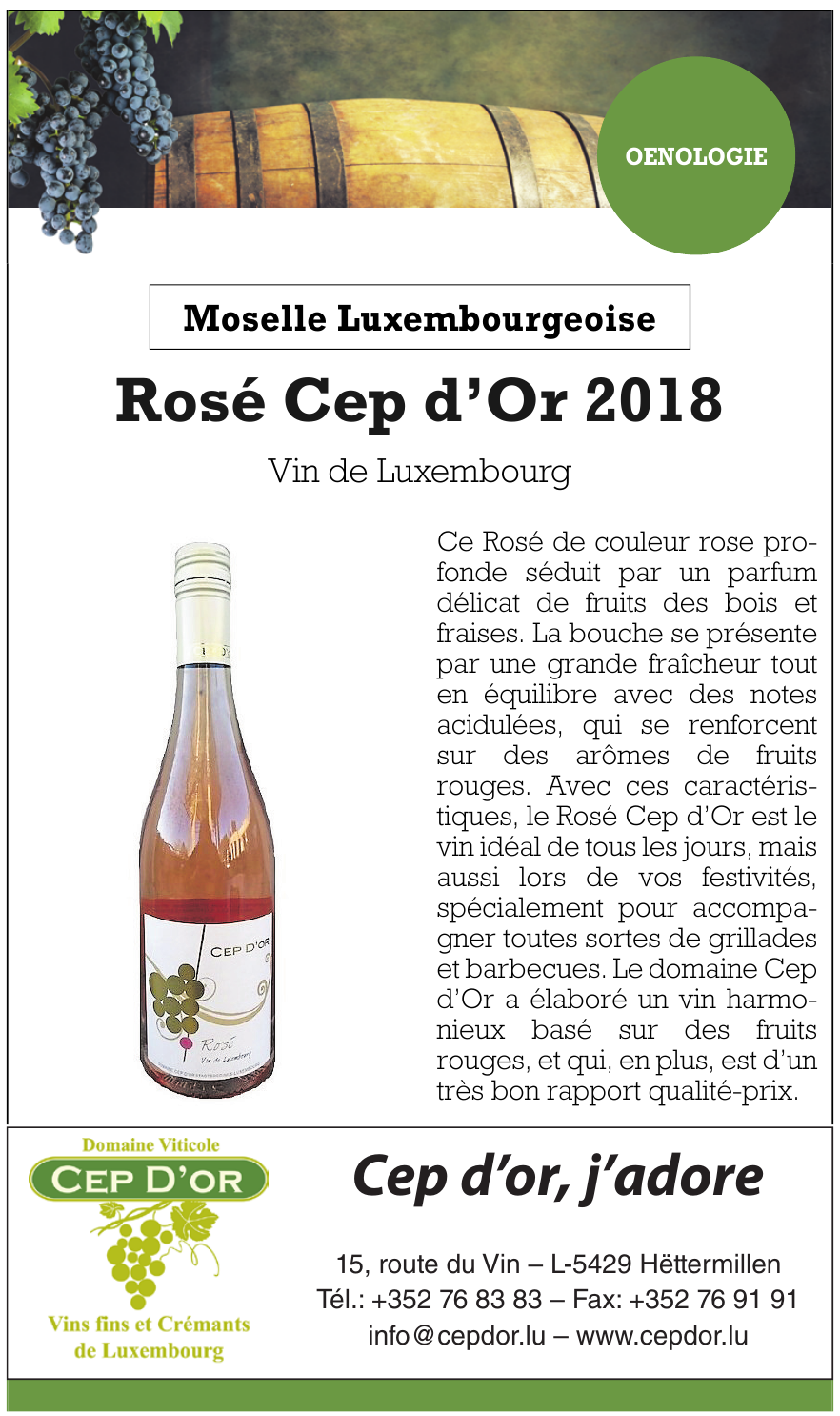 Cep d’or, j´adore