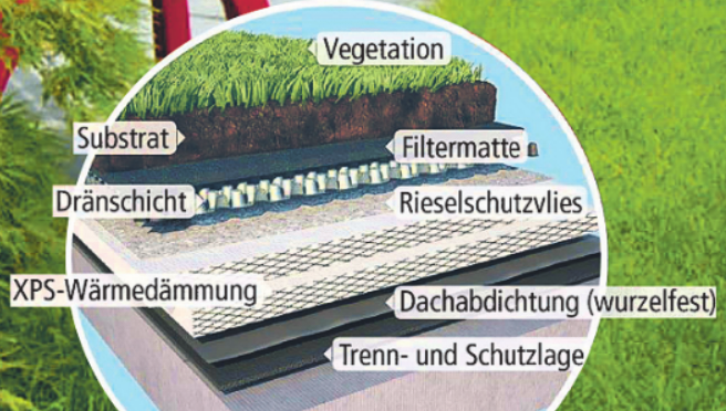 Ein Gründach als Umkehrdach verdoppelt dessen Lebensdauer und kann bei extensiver Begrünung wie ein echter Garten bepflanzt werden. Foto: djd/FPX Fachvereinigung Ein Gründach als Umkehrdach verdoppelt dessen Lebensdauer und kann bei extensiver Begrünung wie ein echter Garten bepflanzt werden. Foto: djd/FPX Fachvereinigung