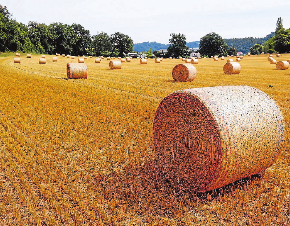 Landwirte und Bauern sind in der Erntezeit auf trockenes Wetter angewiesen. Fotos: pixabay.de