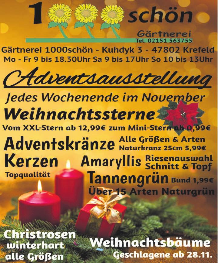 Gärtnerei 1000schön Gärtnerei 1000schön