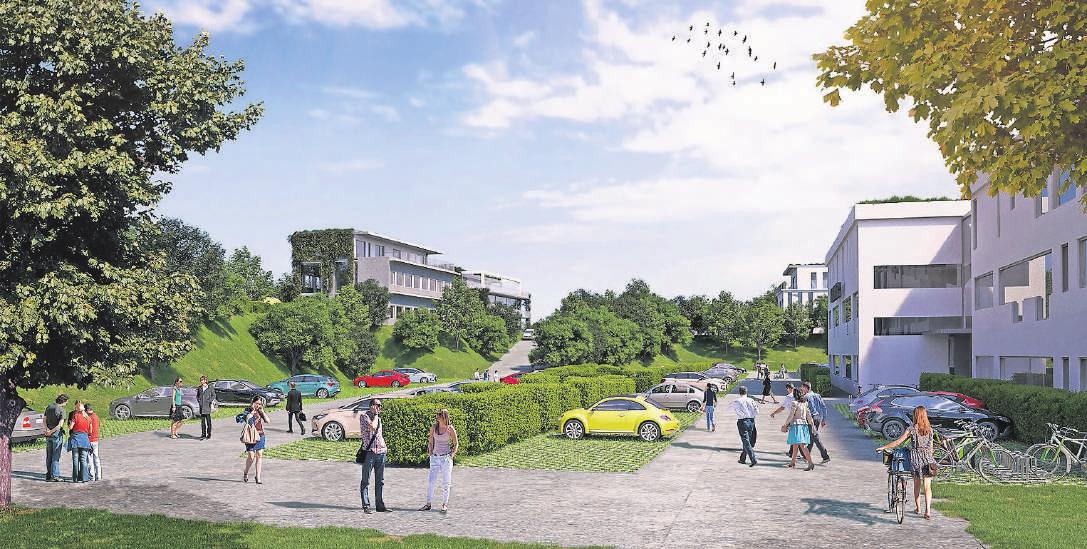Recycelbare Baumaterialien, Dach- und Fassadenbegrünung, viele Grünflächen und nahezu keine Oberflächenversiegelung: Der neue Campus wird nach strengen ökologischen Kriterien angelegt. Recycelbare Baumaterialien, Dach- und Fassadenbegrünung, viele Grünflächen und nahezu keine Oberflächenversiegelung: Der neue Campus wird nach strengen ökologischen Kriterien angelegt.