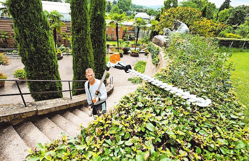 Klare Kante im Garten zeigen