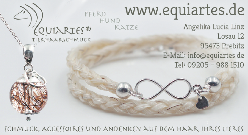Angelika Lucia Linz, Equiartes Angelika Lucia Linz, Equiartes