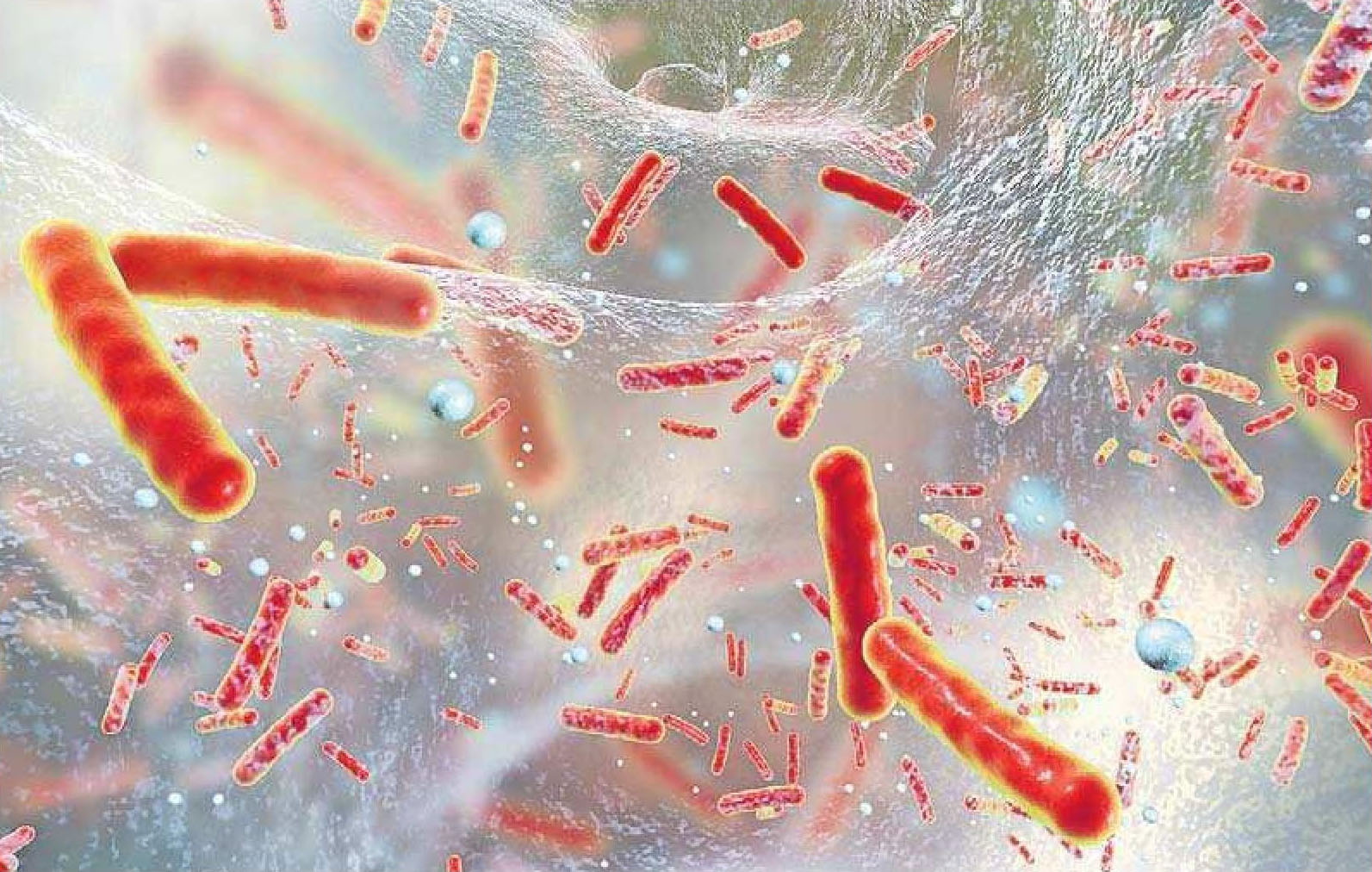 Wichtigste Waffe gegen Keime wie Stäbchenbakterien: Antibiotika. Um die Verbreitung resistenter Bakterien zu vermeiden, müssen alle an einem Strang ziehen. FOTO: KATERYNA KON/STOCK.ADOBE.COM Wichtigste Waffe gegen Keime wie Stäbchenbakterien: Antibiotika. Um die Verbreitung resistenter Bakterien zu vermeiden, müssen alle an einem Strang ziehen. FOTO: KATERYNA KON/STOCK.ADOBE.COM