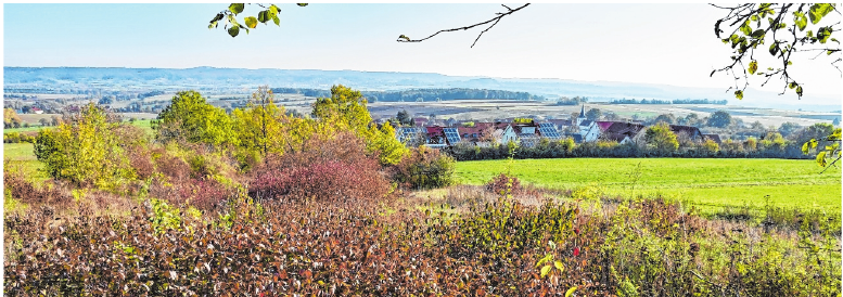 Der Obst- und Gartenbauverein Uchenhofen hat 2018 neue Bänke am Haßbergblick aufgestellt. FOTO: ULRIKE LANGER Der Obst- und Gartenbauverein Uchenhofen hat 2018 neue Bänke am Haßbergblick aufgestellt. FOTO: ULRIKE LANGER