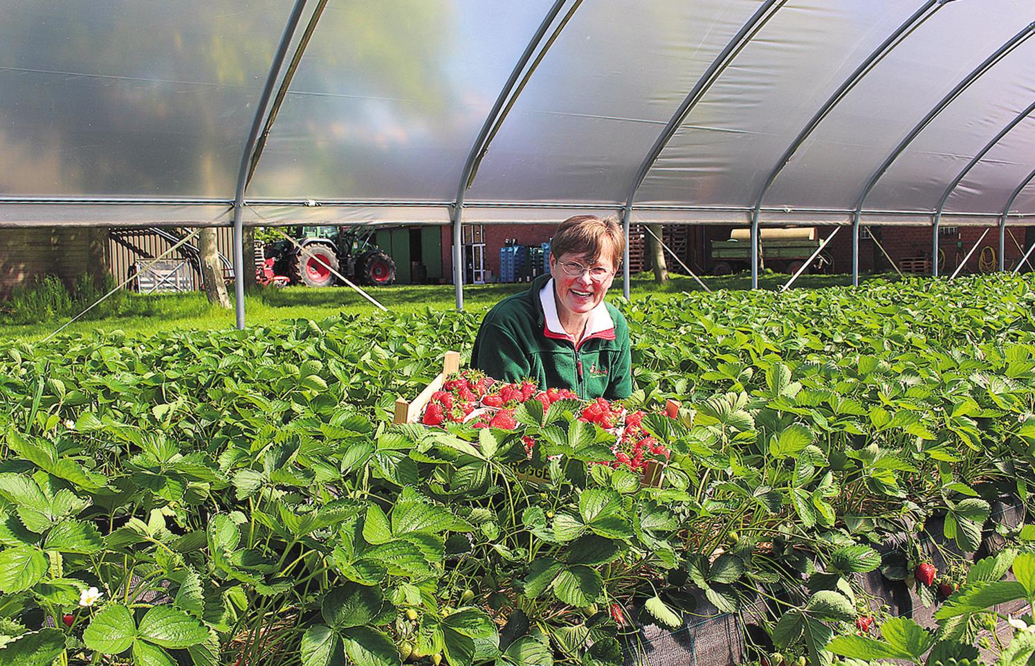 Heike Brüggenwirth freut sich über die verlängerte Saison für die prallen roten Vitaminbomben. FOTO: AR Heike Brüggenwirth freut sich über die verlängerte Saison für die prallen roten Vitaminbomben. FOTO: AR