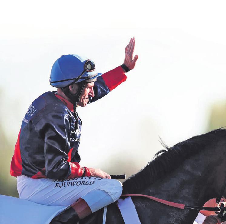 Der Top-Favorit ist Noble Moon. Foto: Marc Ruehl Der Top-Favorit ist Noble Moon. Foto: Marc Ruehl