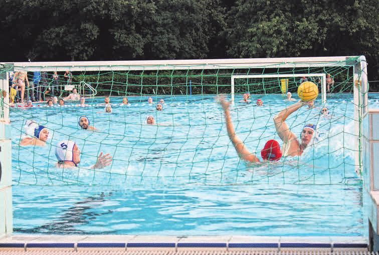 Die Wasserballer des Schwimmvereins Langenhagen stehen für packende Spiele.