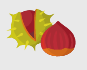 Der Sommer geht, der Herbst kommt Image 10 Der Sommer geht, der Herbst kommt Image 10
