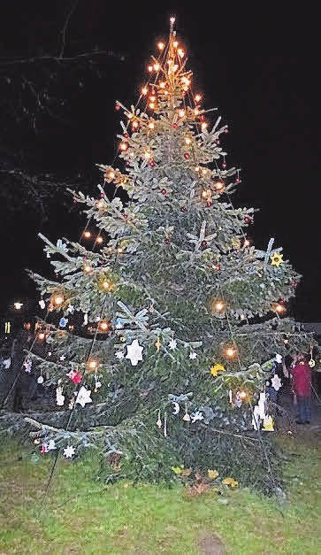 Morgen wird der Weihnachtsbaum auf dem Platz neben der Löwen-Apotheke geschmückt. Morgen wird der Weihnachtsbaum auf dem Platz neben der Löwen-Apotheke geschmückt.