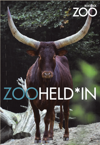 Foto: Zoo Rostock / Müller Foto: Zoo Rostock / Müller