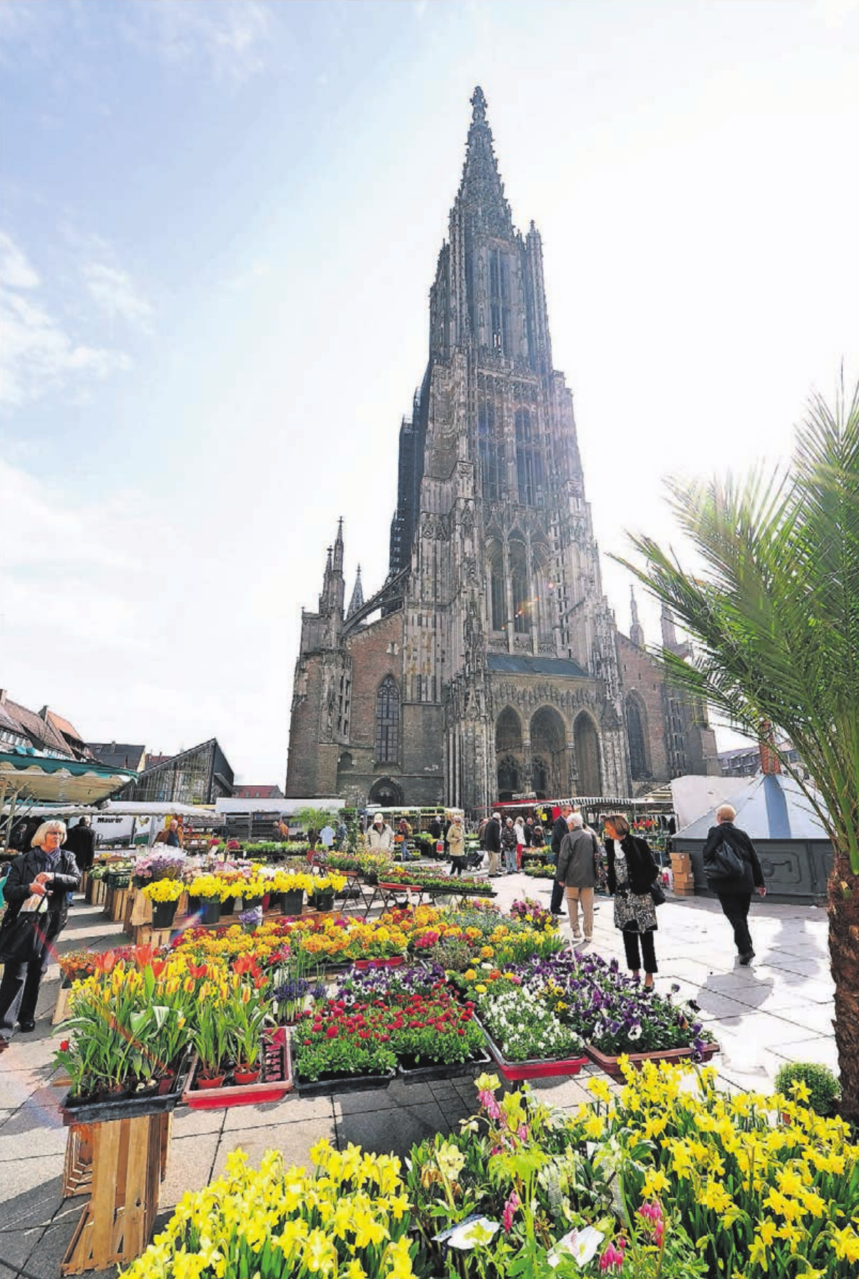 Das Ulmer Münster mit dem höchsten Kirchturm der Welt. Foto: Reinhold Mayer Das Ulmer Münster mit dem höchsten Kirchturm der Welt. Foto: Reinhold Mayer