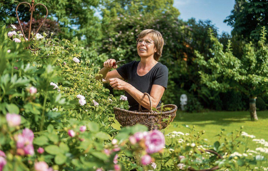 Ein satter grüner Garten ist oft arbeitsreich - denken die meisten. Es gibt aber Tricks, die etwas Mühe ersparen. Foto: Benjamin Nolte/dpa-tmn