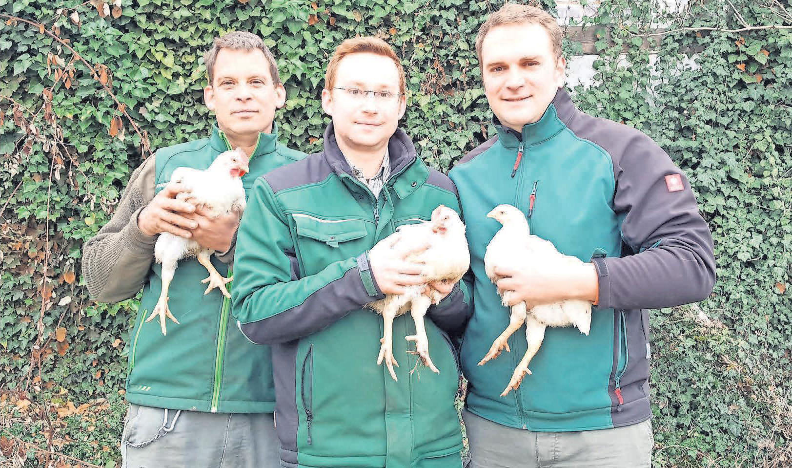Harm Nöhre (von links), Karl Eckerlin und Immo Behre bieten auf dem Nöhrenhof Masthähnchen an. Harm Nöhre (von links), Karl Eckerlin und Immo Behre bieten auf dem Nöhrenhof Masthähnchen an.