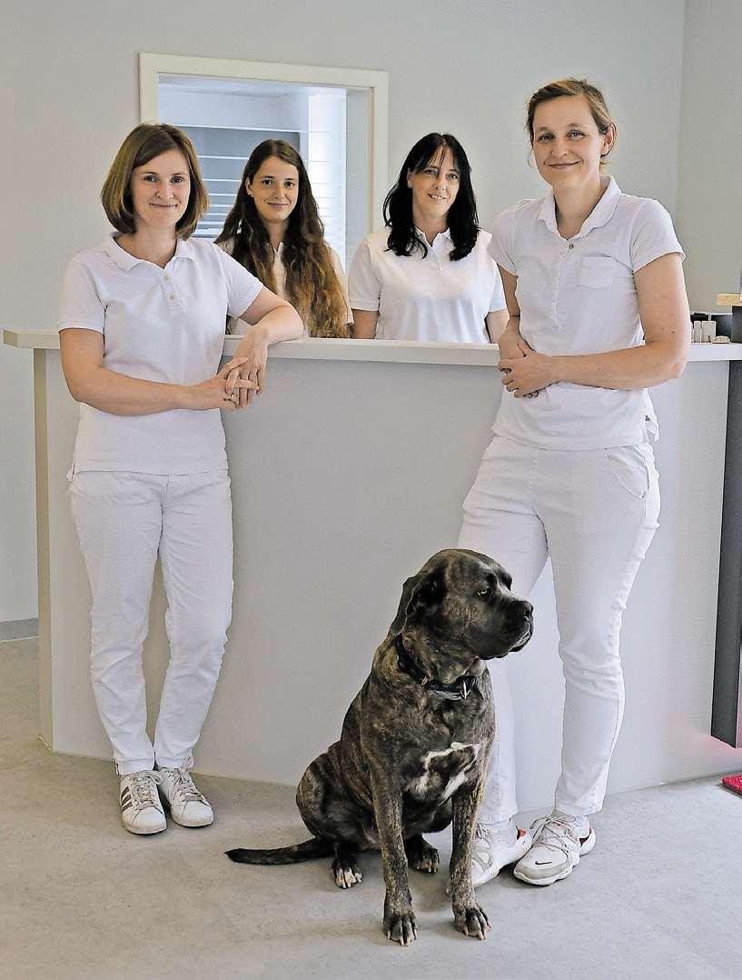 Perfekt aufgestellt: Das Praxisteam mit Dr. Sonja von Berg, Julia Utesch, Christel Hoppe und Conny Nachtigall (von links).