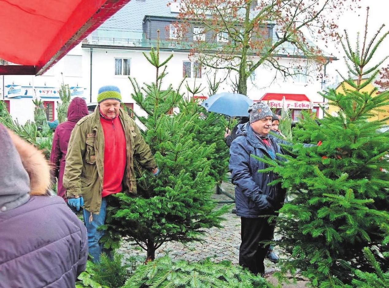 Noch keinen Weihnachtsbaum? Auch dieses Problem lässt sich zum Selbitzer Weihnachtsmarkt lösen. Beim beliebten Christbaumverkauf wird auch der Bürgermeister tatkräftig mit anpacken. Fotos: Nauck Noch keinen Weihnachtsbaum? Auch dieses Problem lässt sich zum Selbitzer Weihnachtsmarkt lösen. Beim beliebten Christbaumverkauf wird auch der Bürgermeister tatkräftig mit anpacken. Fotos: Nauck